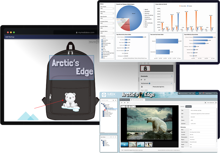 Reporting and Analytics Dashboard-image